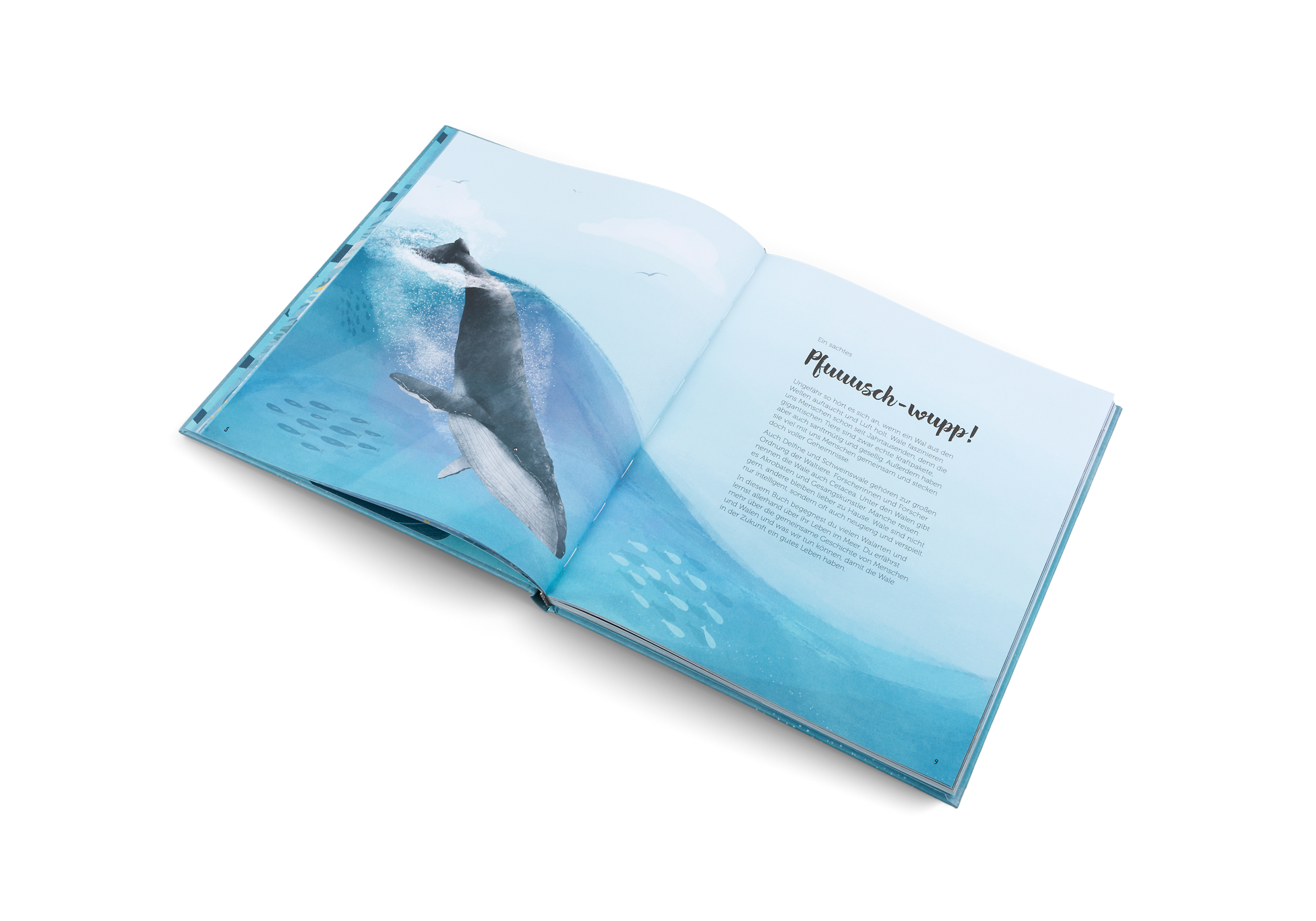 Die Welt der Wale Die Welt der Wale