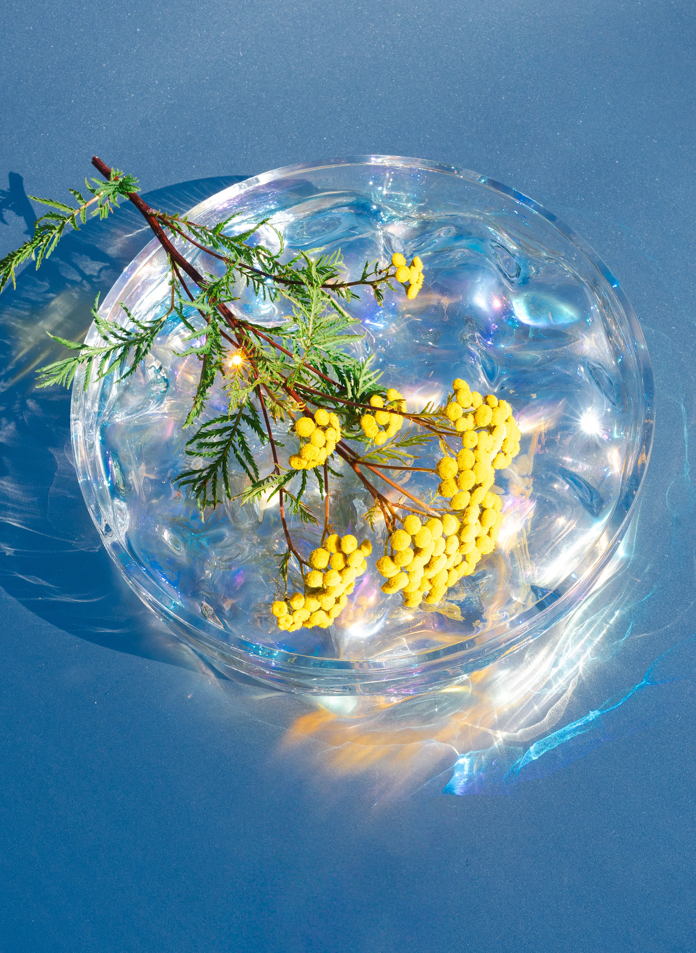 Matias Moellenbach blister bowl iridescent